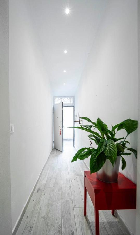 Puccinotti House Apartment Florence Luaran gambar